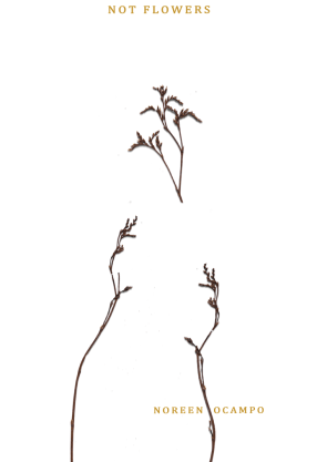 Not Flowers book cover